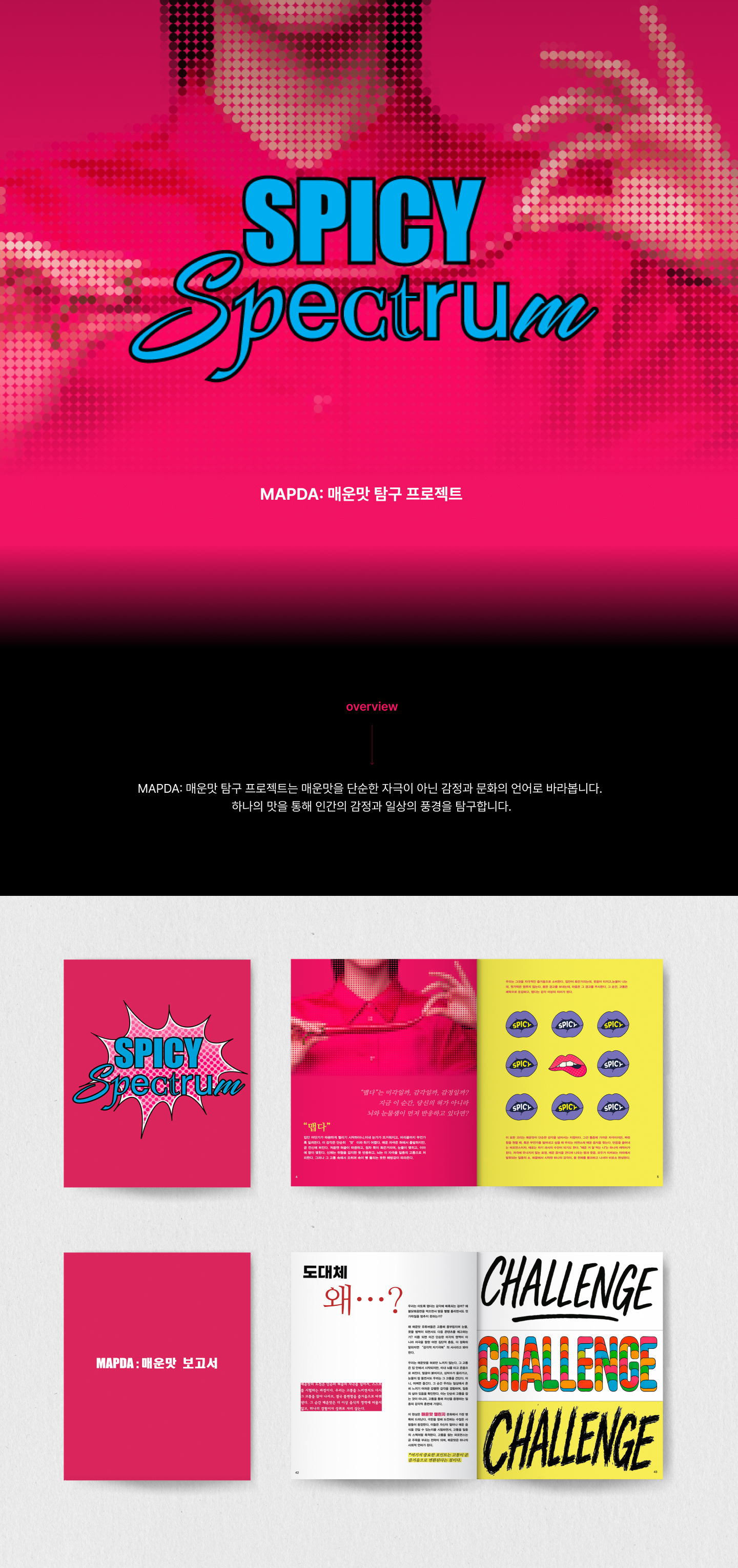 매운맛 탐구 프로젝트 : MAPDA 상세 이미지 1
